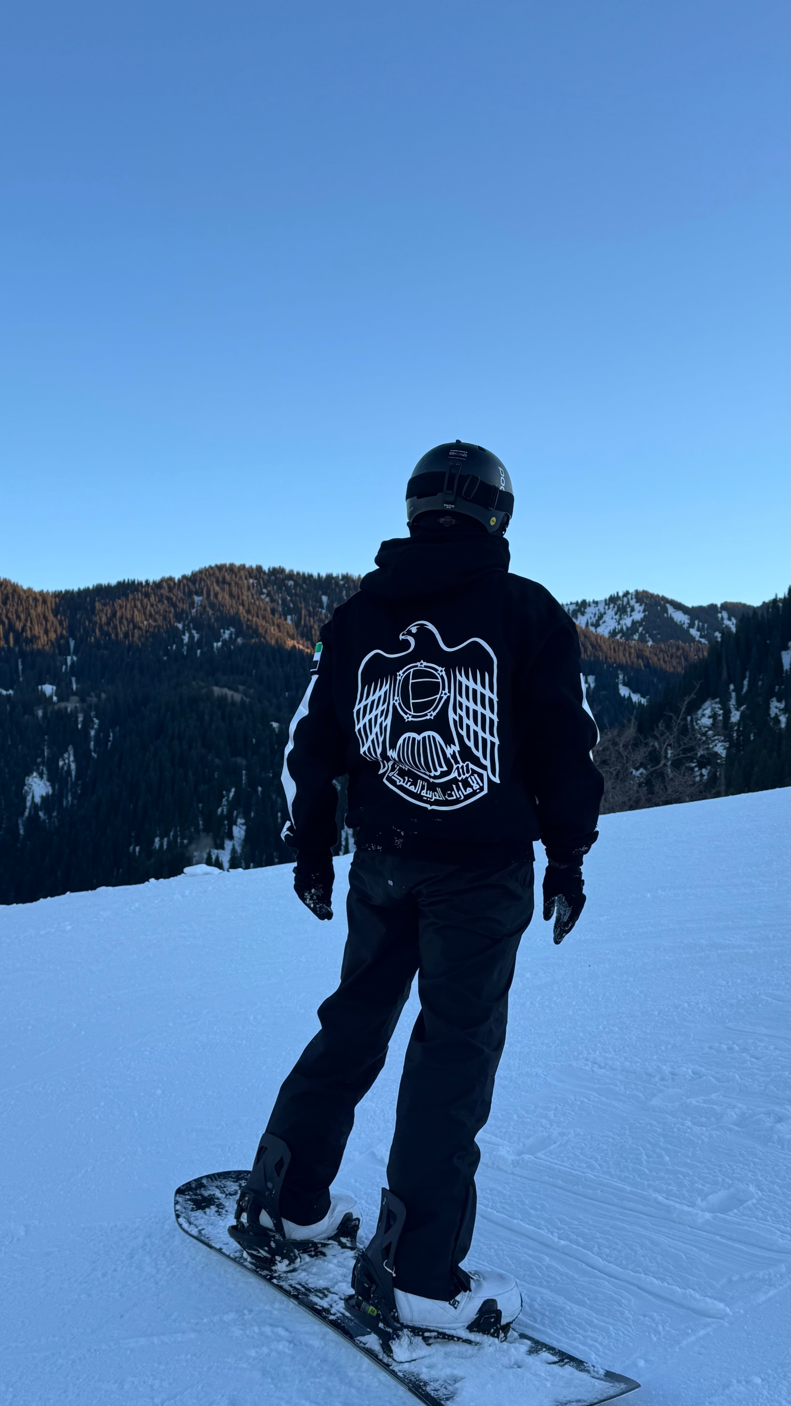 UAE National Emblem Oversized Drop Shoulder Hoodie