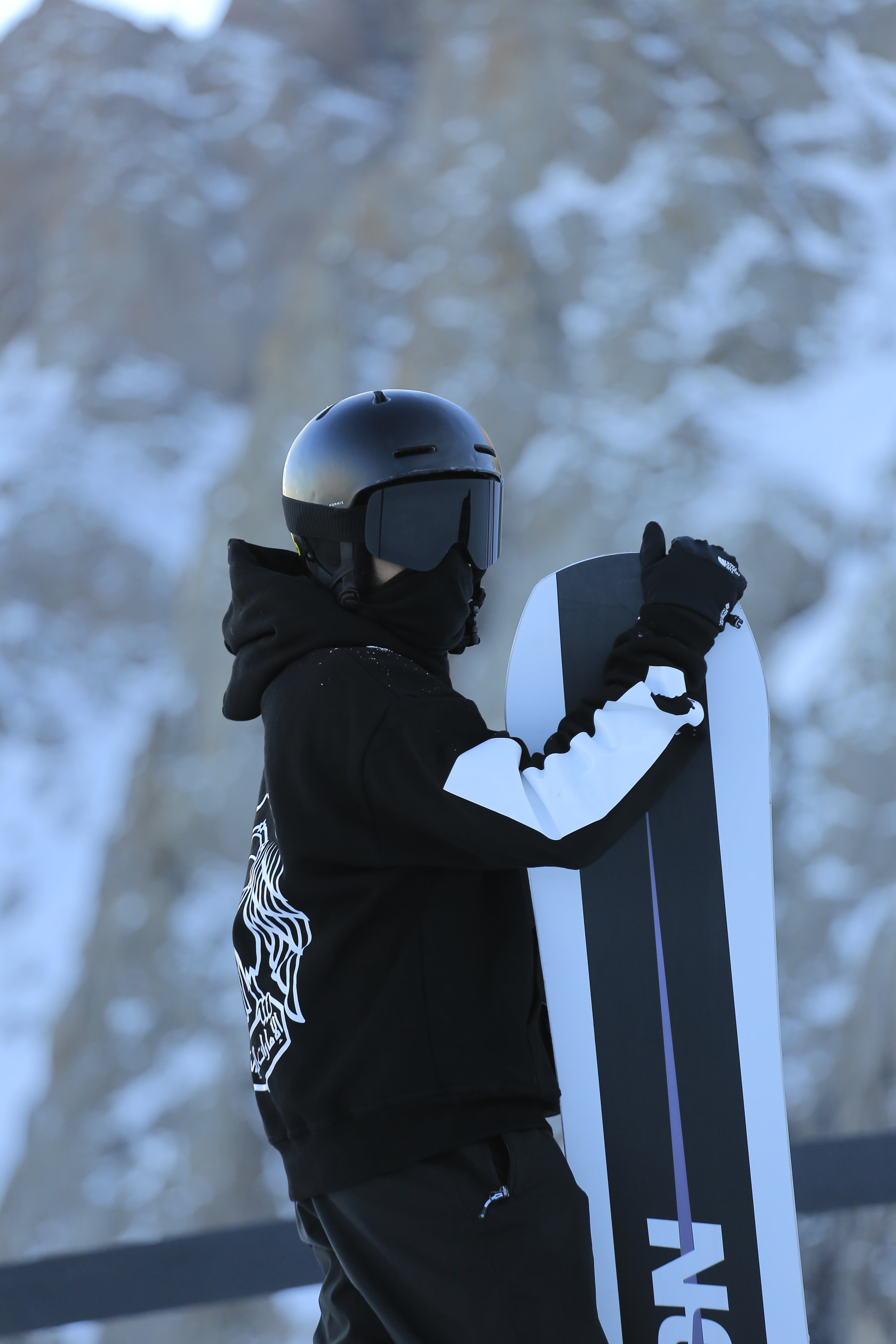 UAE National Emblem Oversized Drop Shoulder Hoodie