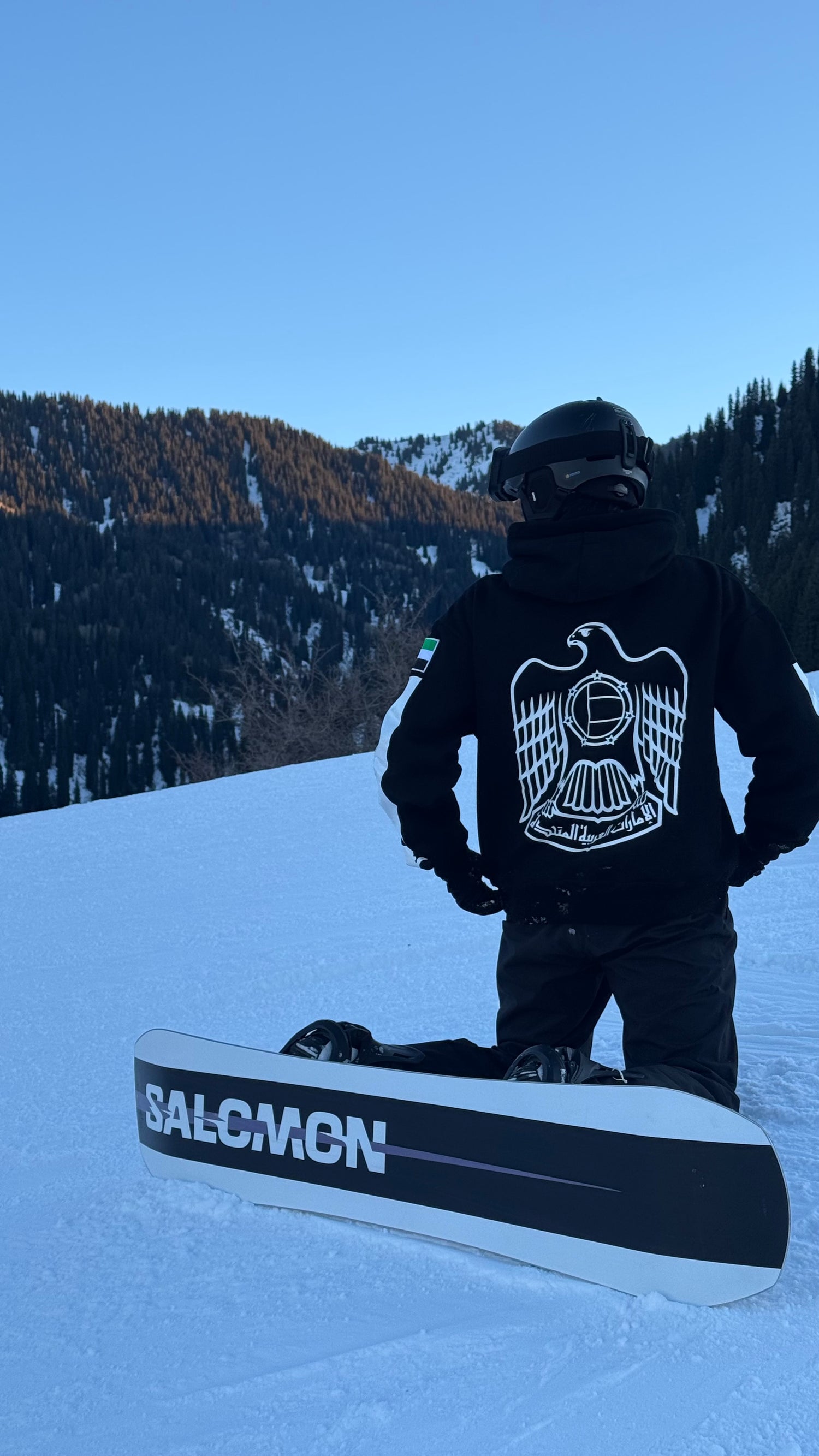 UAE National Emblem Oversized Drop Shoulder Hoodie